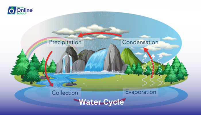 Lesson 02: Detailed Description of Water Cycle